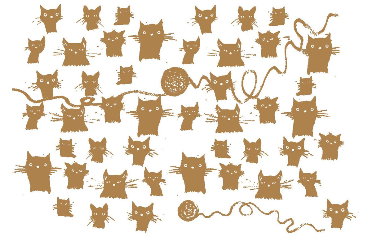 Miau Miau - Cafe au lait