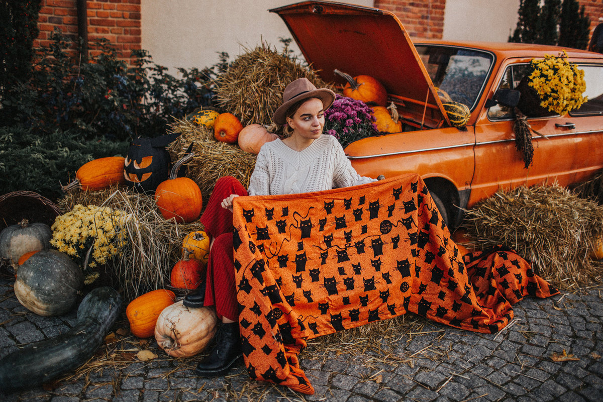Miau miau – Pumpkin blink