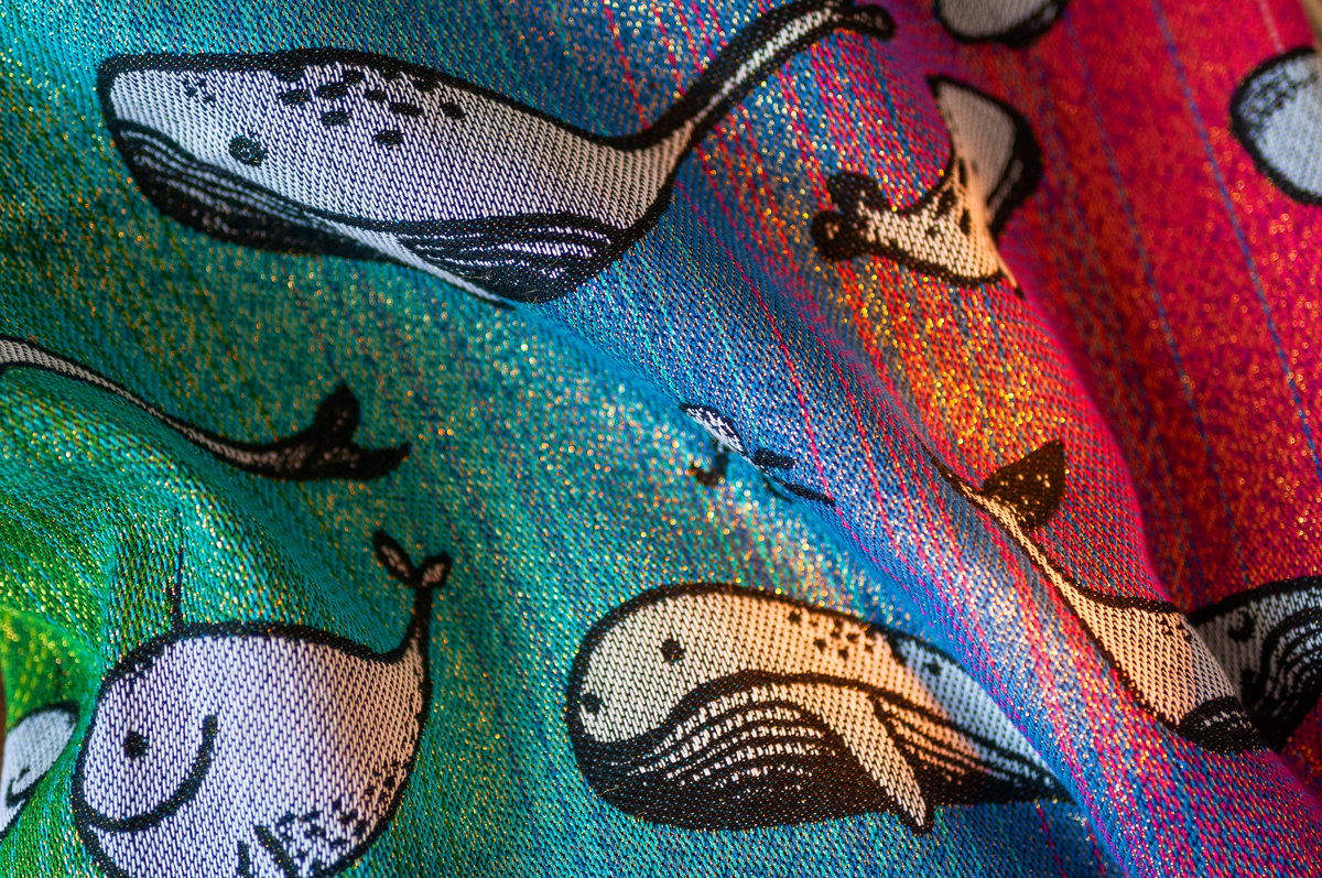 La fontaine de la baleine – Rainbow Blink